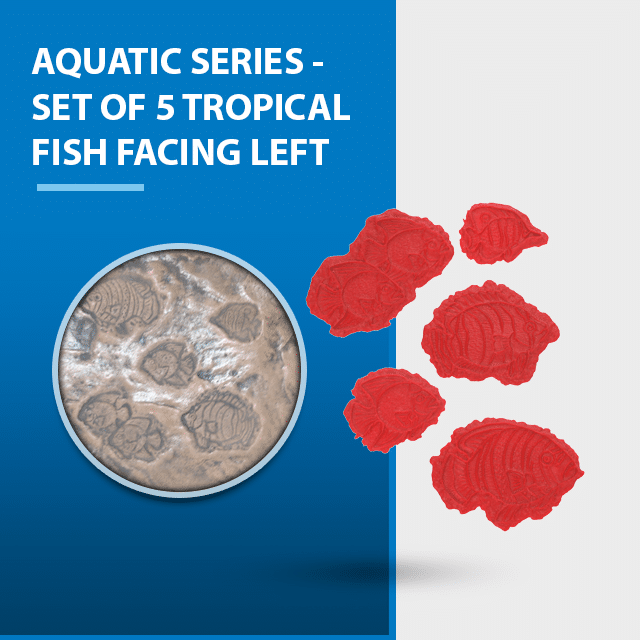 aquatic-series-set-of-5-tropical-fish-facing-left.png