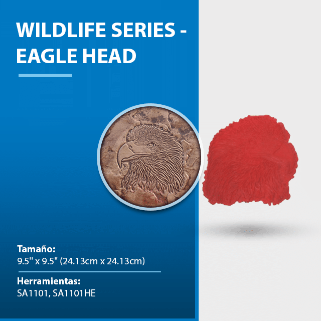 wildlife-series-eagle-head.png