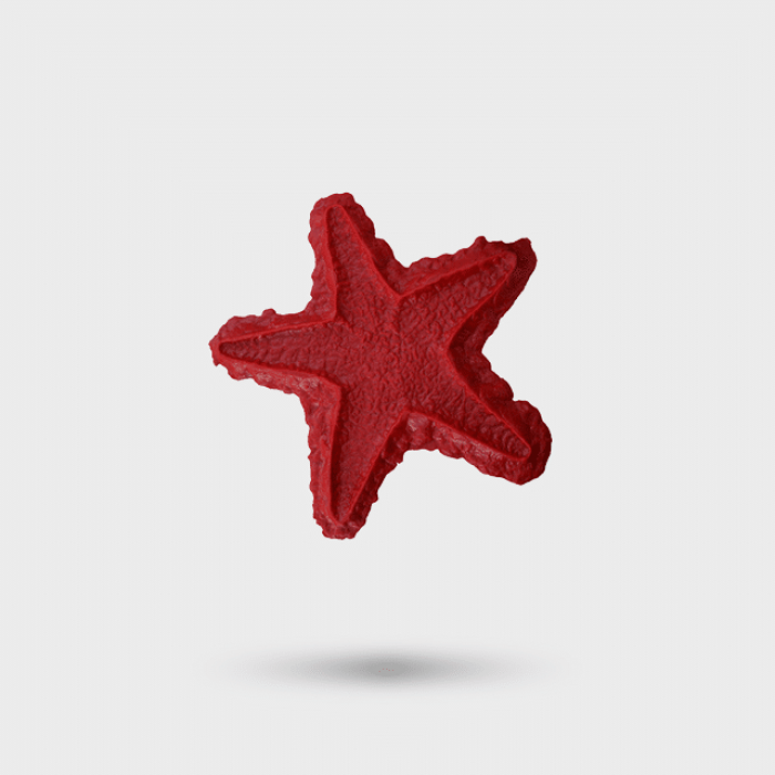aquatic-series-starfish_2-700x700.png