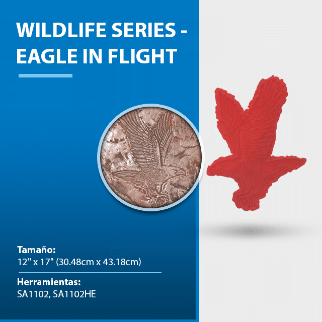 wildlife-series-eagle-in-flight.png